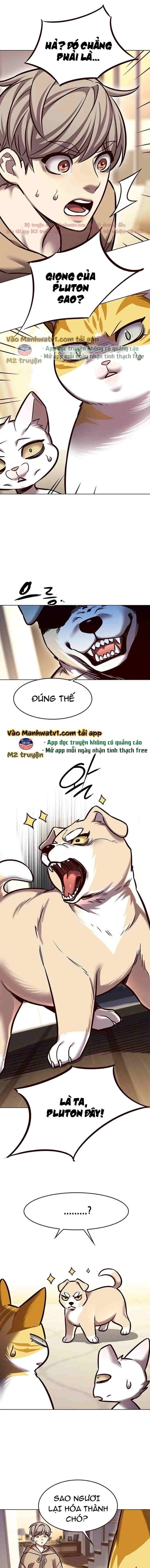 Đọc truyện Hóa thân thành mèo (Bản Free) - Chap 279